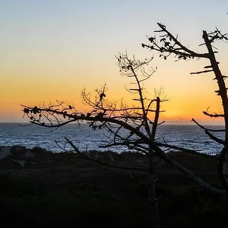 Casa Da Amorosa 维亚纳堡