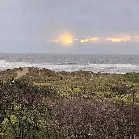 Casa Da Amorosa 维亚纳堡