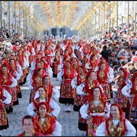 Casa Da Amorosa 维亚纳堡