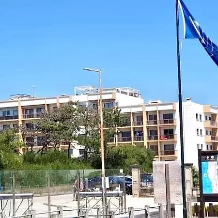 Casa Da Amorosa 公寓 维亚纳堡