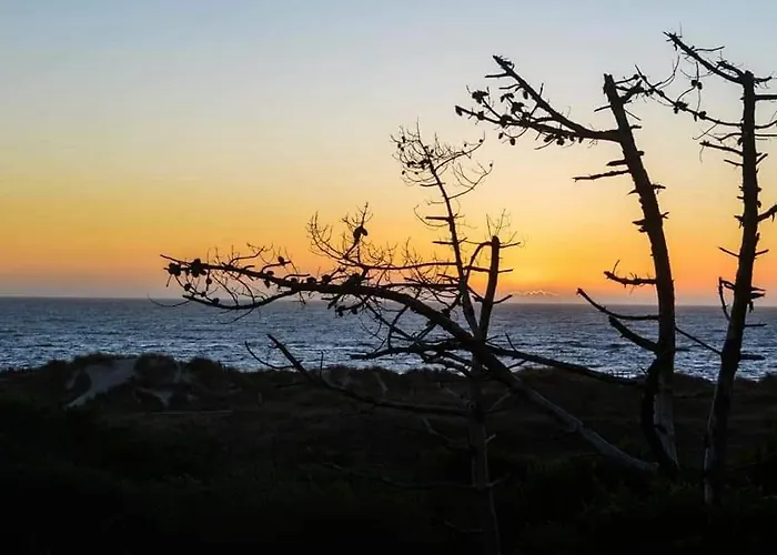 Casa Da Amorosa فيانا دو كاستيلو