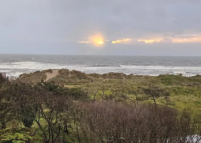 Casa Da Amorosa فيانا دو كاستيلو